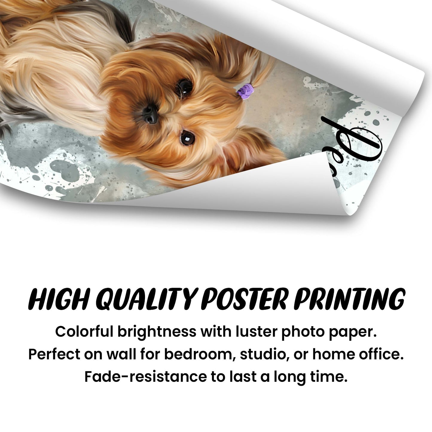 Pet Lovers - Custom Photo Dog Cat - Personalized Poster